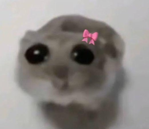 Winter clothes shopping 