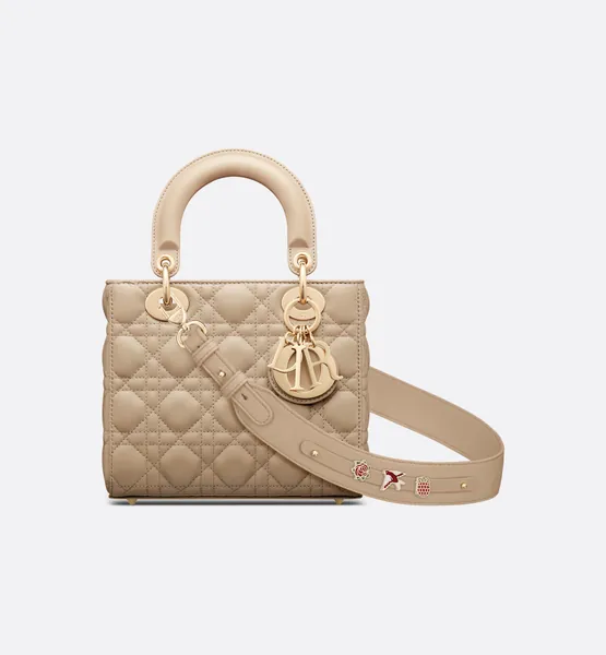 Small Lady Dior My ABCDior Bag
