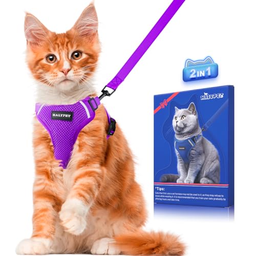 Halypet Cat Harness and Leash Set [ MAX Safety Third Generation ] Escape Proof Soft Adjustable Cat Leash Breathable Comfortable Vest Easy to Wear Kitten Harness for Outdoor Walking - H200 Pro Purple - Small