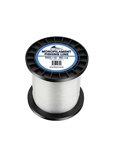 BLUEWING Monofilament Fishing Line 6,8,10,12,15,20,25,30,40,50,60,80,100,130,250,300,400 lbs, 50,100,500,1000,3000 Yards Invisible Thin Diameter Mono Fishing Line Fishing Wire String, Clear - 01-Clear - #23 0.8mm/80lb/500yd