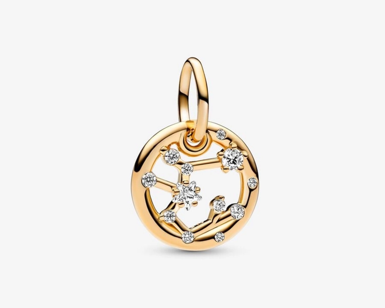Zodiac Dangle Charm