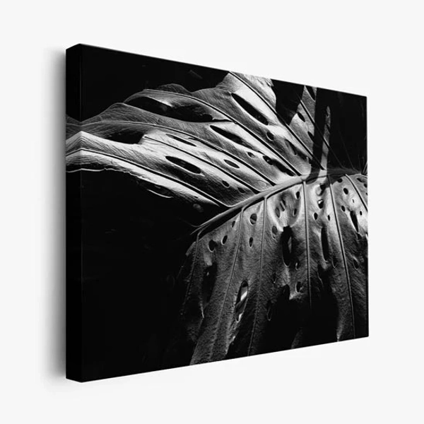 Tropical Remembrance - Black and White Botanical Art
