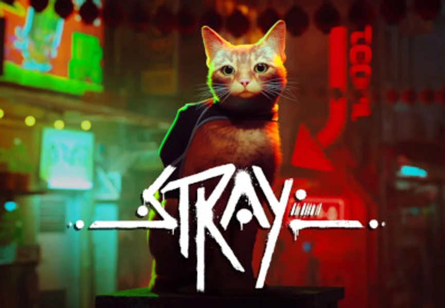 Stray Steam CD Key