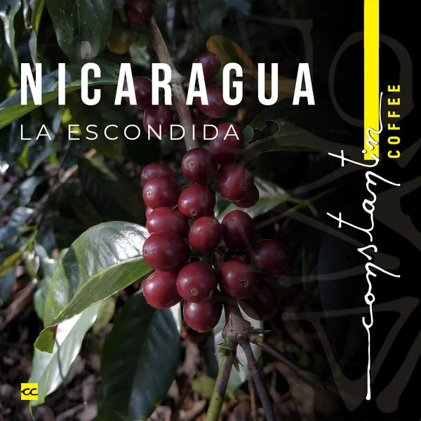Cafea boabe, 100% Arabica, Specialty Nicaragua La Escondida, Constantin Coffee