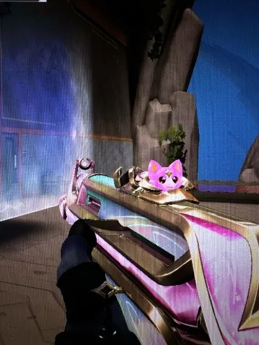 Game Skins