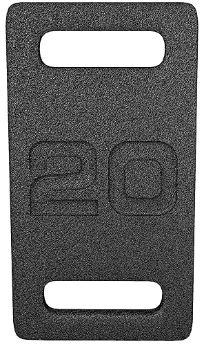 Fitvids Cast Iron Plate, Weighted Plate for Swings, Squat, Strength Training, Fitness Workout, and Home Exercises, Multiple Sizes - 20 Pounds