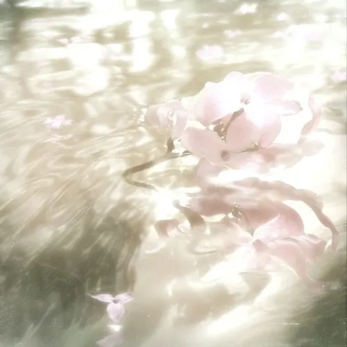 Elgato Stream Deck white ꔫ