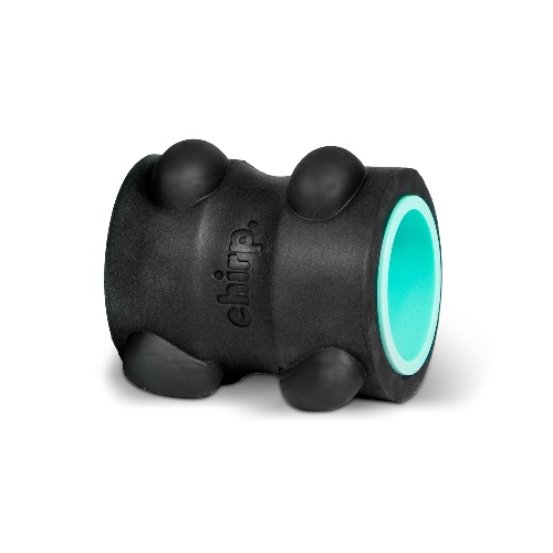 Chirp Wheel XR 4" Neck & Headache | Mint
