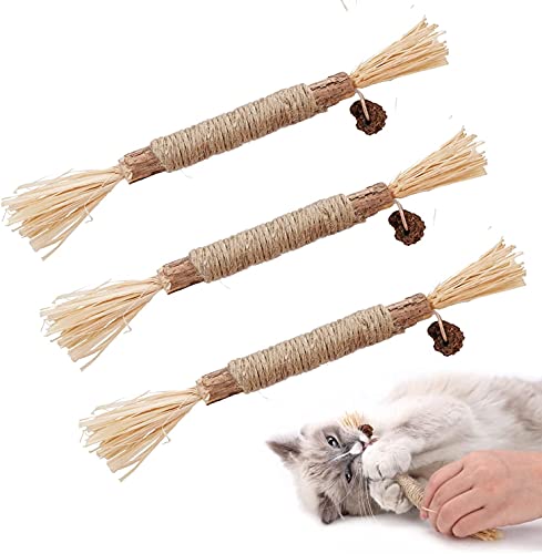 Dorakitten Katzenminzen Sticks, Katzenminze Spielzeug Matatabi Katzen Kauhölzer Silvervine Sticks für Katzen Zahnpflege & gegen Mundgeruch Natürlich Sicher Katzensticks Kausticks Set - 3 stück