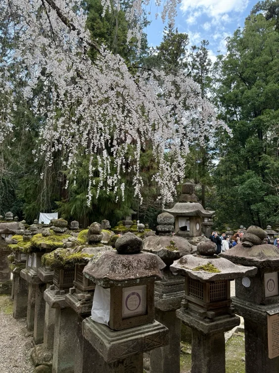 Japan trip 