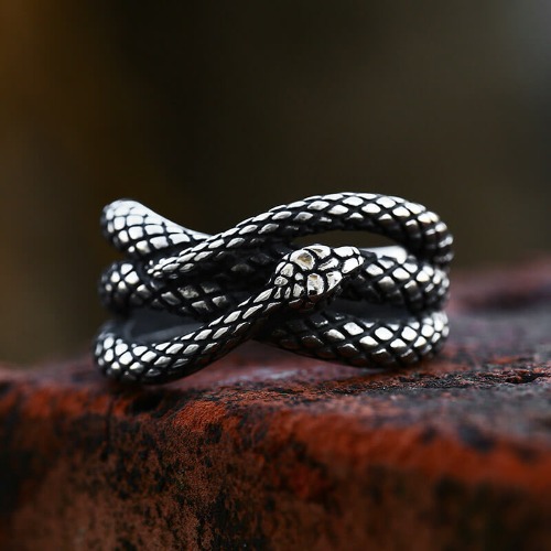 Cobra Twist Snake Stainless Steel Ring - Stainless Steel / 8
