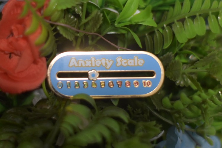 Sliding Anxiety Scale Pin - In Stock