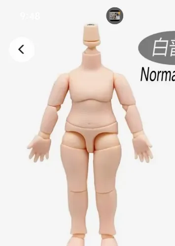 Cuerpo muñeca personalizable