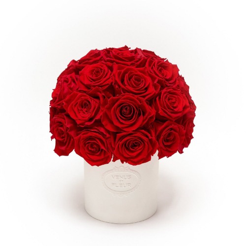 Fleura Porcelain Vase | Roses / Red
