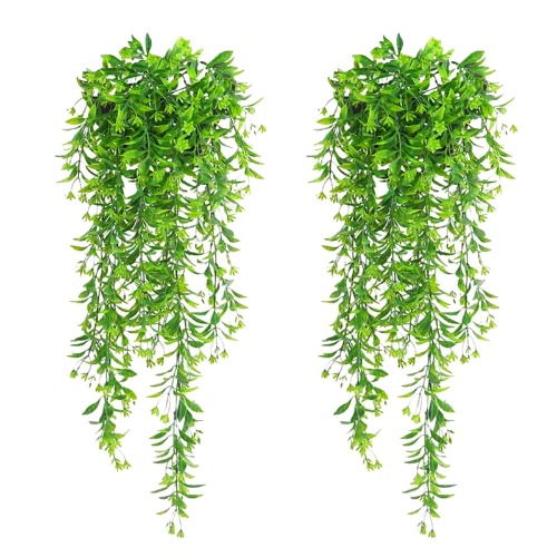 floating plants to make the studio into the Gryffindor commonroom