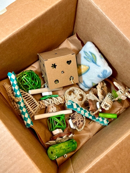 Chew Toy Bundle - FULL SIZE Hanging Toy and Toss Toy Combo - Chinchillas, Guinea Pigs, Bunnies, Parrots, Birds + Small Pets | Pet Enrichment