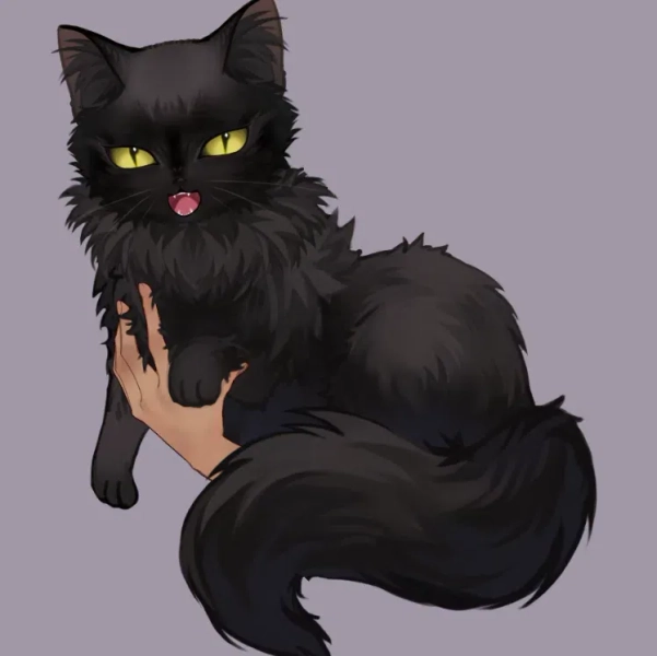 Black Fluffy Cat by LioSoup (@LioSoup)