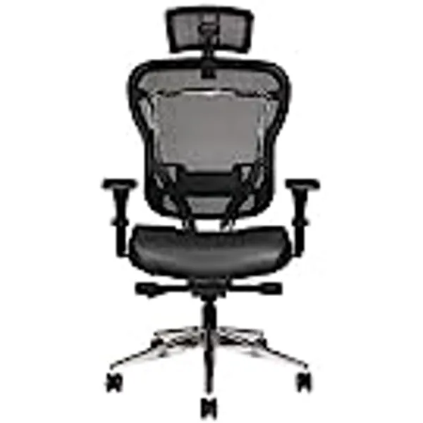 Oak Hollow Furniture Aloria Series Office Chair Ergonomic Executive Computer Chair, Genuine Leather Seat Cushion, Mesh Back, Adjustable Lumbar Support Swivel and Tilt High-Back (Black, Headrest)