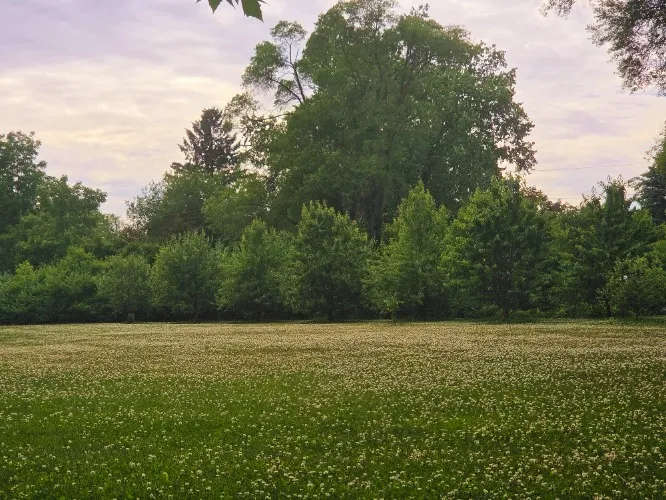 SCOTLAND & WALES TRIP