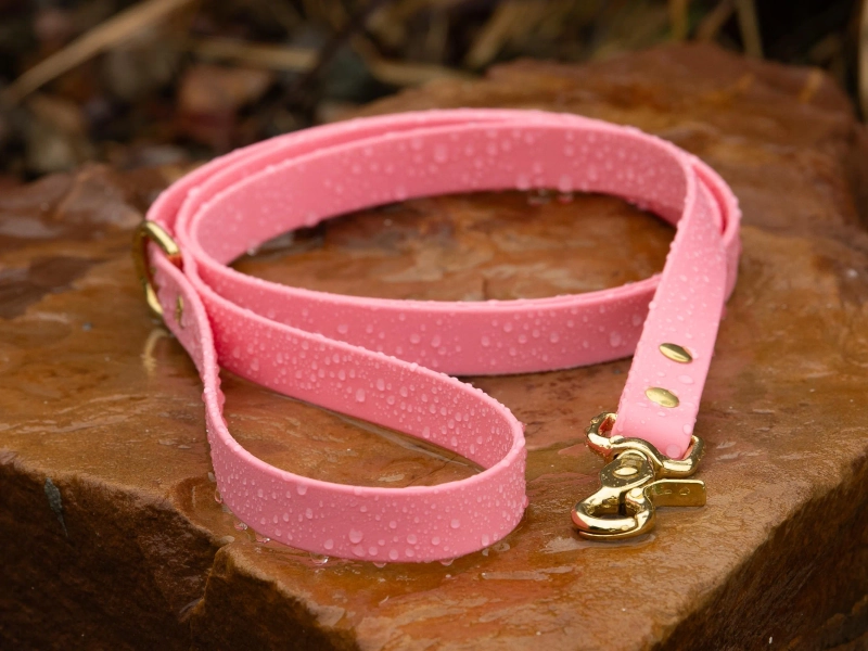 BioThane® Waterproof Dog Leash - Pastel Pink