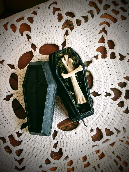 Bird bones crucifix cross oddity coffin box curiosity