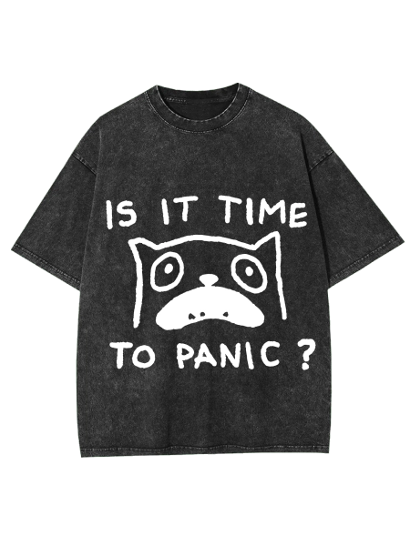 Is It Time To Panic Washed Tshirt