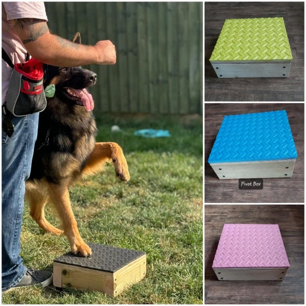 (Pink) Dog Training Pivot Box/platform/dog Sports/obedience/agility/igp. Suitable for All Dog Breeds and Puppies: Handcrafted by Montrev Gundogs - Etsy