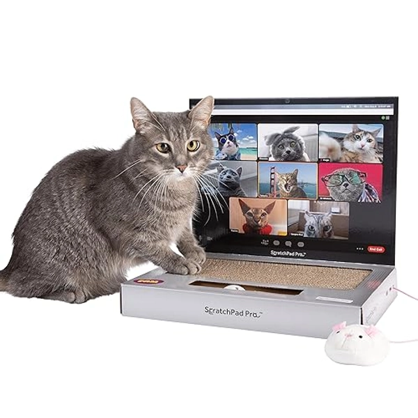 ScratchPad Pro — Cardboard Laptop Cat Scratcher, Great Idea for Pet Owners, Interactive Cat Toys for Indoor Cats, Kitten Supplies and Cat Stuff