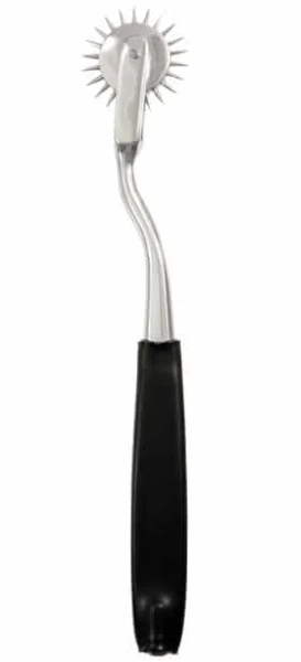 Electrastim Single Pinwheel Uni-Polar Tickler