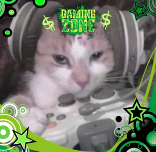 🎮😼 Buy me a game + DLC + battlepass + NG+ content