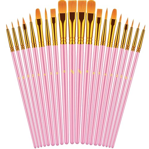Paint Brushes Set, 20 Pcs Paint Brushes for Acrylic Painting, Oil Watercolor Acrylic Paint Brush, Artist Paintbrushes for Body Face Rock Canvas, Kids Adult Drawing Arts Crafts Supplies, Blush - Blush
