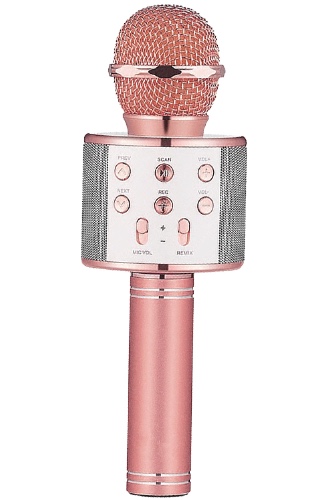 Bluetooth Karaoke Speaker Microphone - Rose Gold