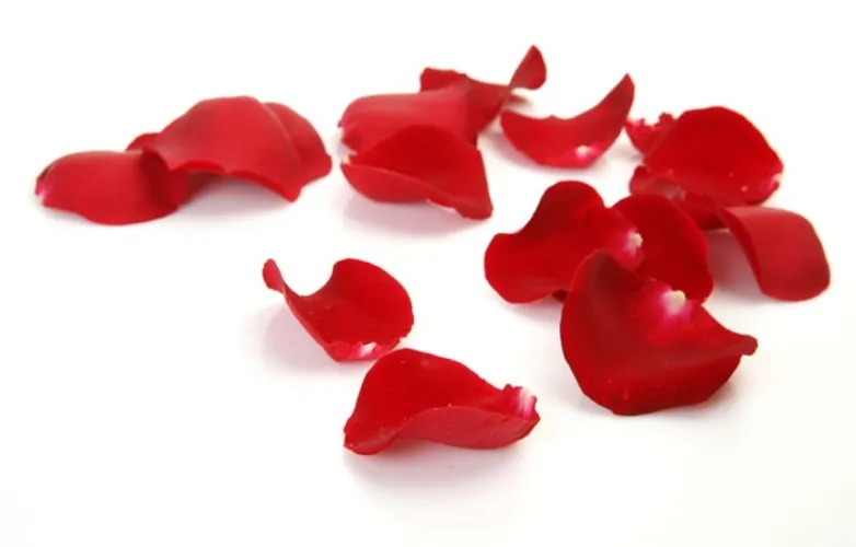 Petals