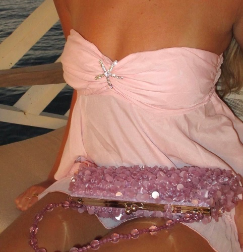 Princess Protection Program