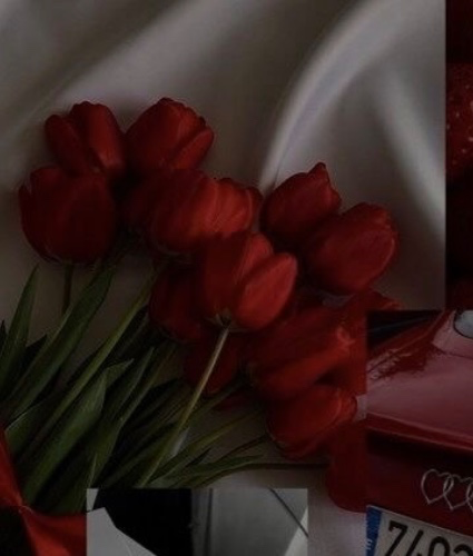 Flowers to Goddess ✨