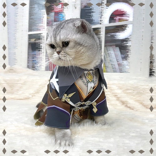 Zhongli Cosplay for Cats