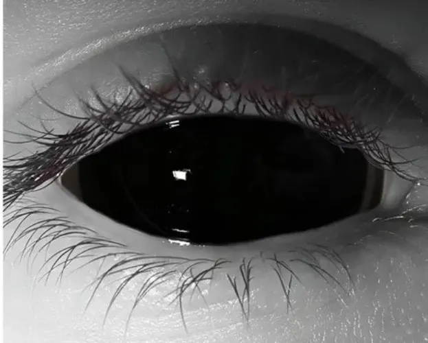 contact lenses with full black sclera