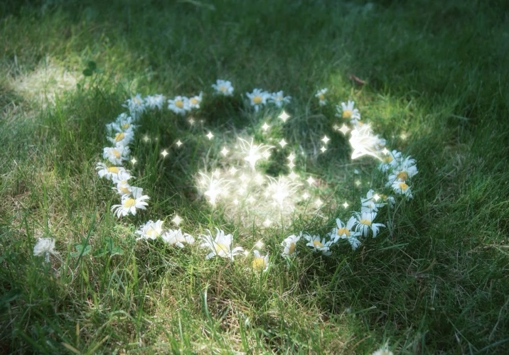 fairy circle