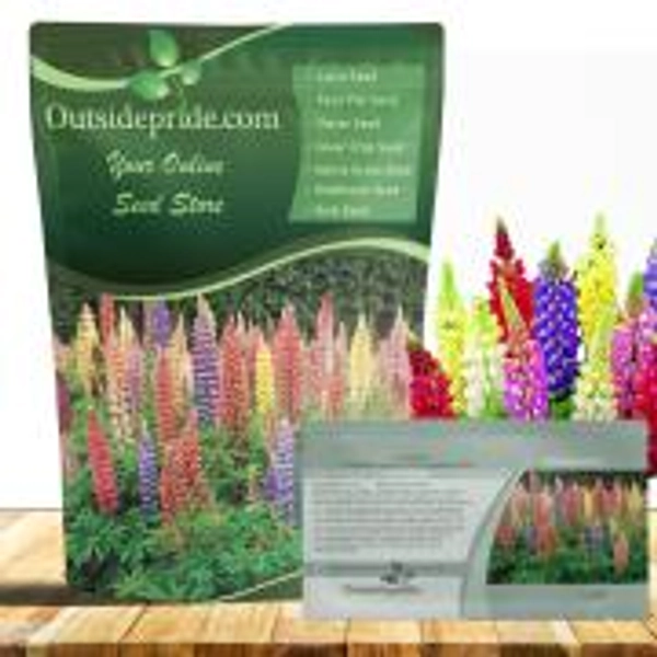 Lupine Seeds - Russells Wildflower Seed (1/4 lb)