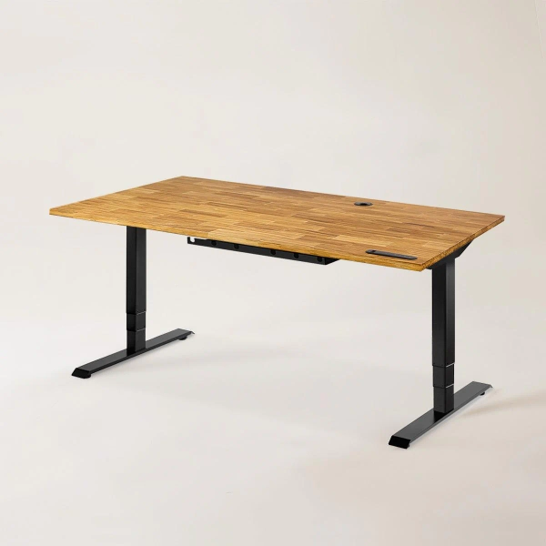 Terra Standing Desk - Terra - Black / M (59" x 29")