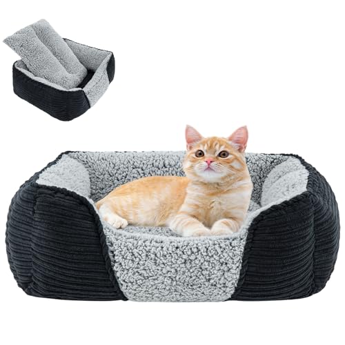 Miguel Washable Cat Beds for Indoor Cats with Removable Cushion, Easy to Wash Small Pet Sofa Bed with Side, Rectangle Bolster Kitten Bed Calming Cuddle Puppy Bed with Anti-Slip Bottom, Black 20 Inch - S 20" - Black