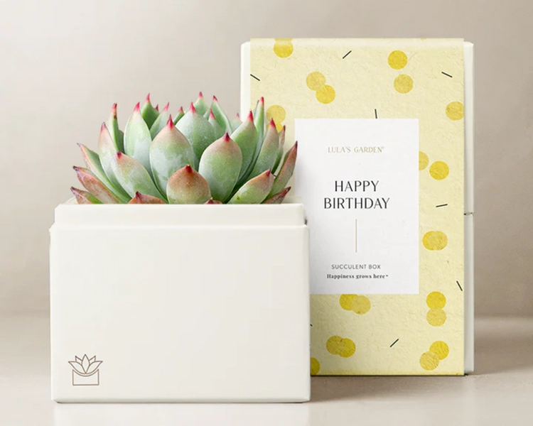 Birthday Bliss Garden