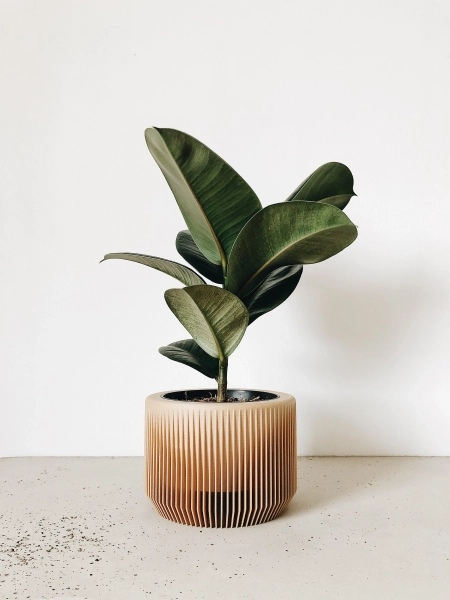 Indoor wood planter - PRAHA perfect planter gift for plant lovers !