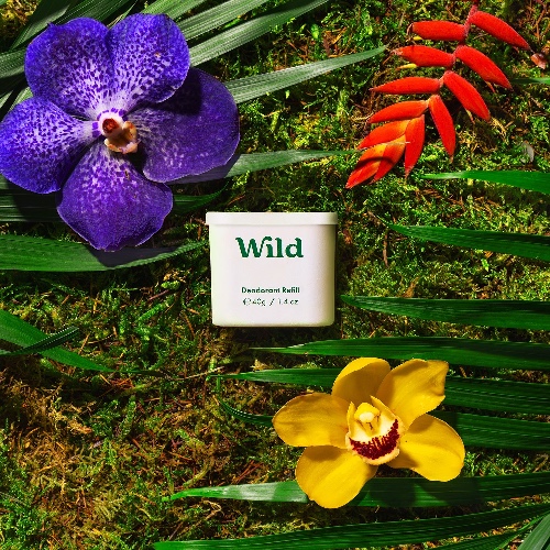 Rainforest Oasis  - Sensitive