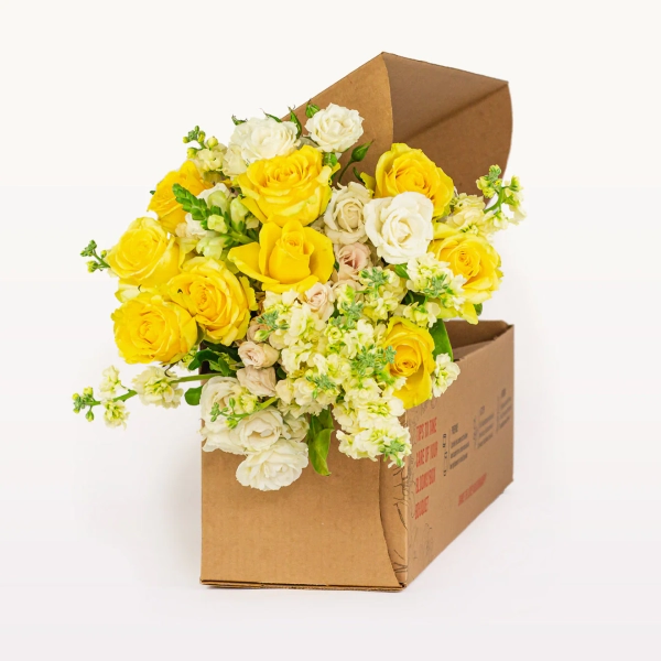 Pet-Safe Blooms - Month to Month