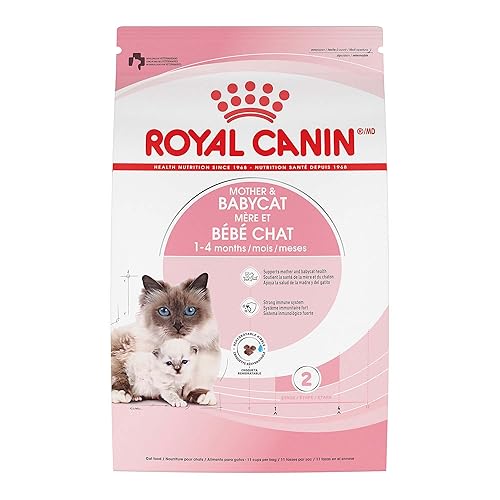 Royal Canin Feline Health Nutrition Mother & Babycat Dry Cat Food for Newborn Kittens and Pregnant or Nursing Cats, 6 lb bag - 6 Pound (Pack of 1)