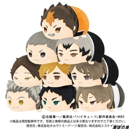 Bokuto plushie