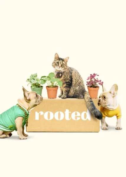 Furry Friends Subscription Box