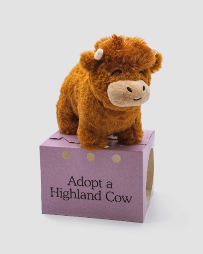 Highland Cow Plushie | Default Title