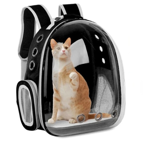 Breatheable Transparent Pet Backpack - Black without cover